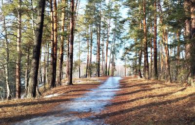Заповедную Пру в Окском заповеднике не сковали ледяные оковы